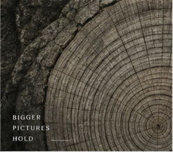 The growth rings of a cut trunk. Marked: bigger pictures hold.