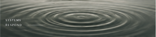 Concentric ripples spreading across still water. Marked: systems respond.