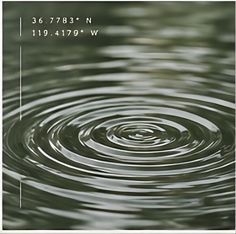 Concentric ripples spreading from a single point of impact on still water.